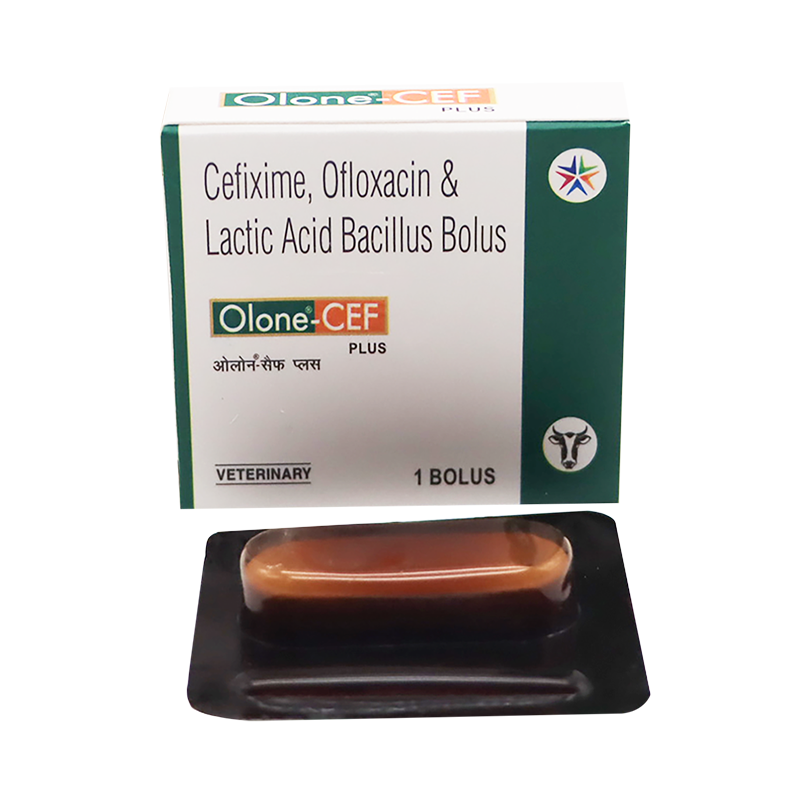 Olone CEF PLUS With Lactic Acid Bacillus Rodec Pharmaceuticals